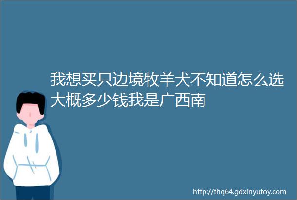 我想买只边境牧羊犬不知道怎么选大概多少钱我是广西南